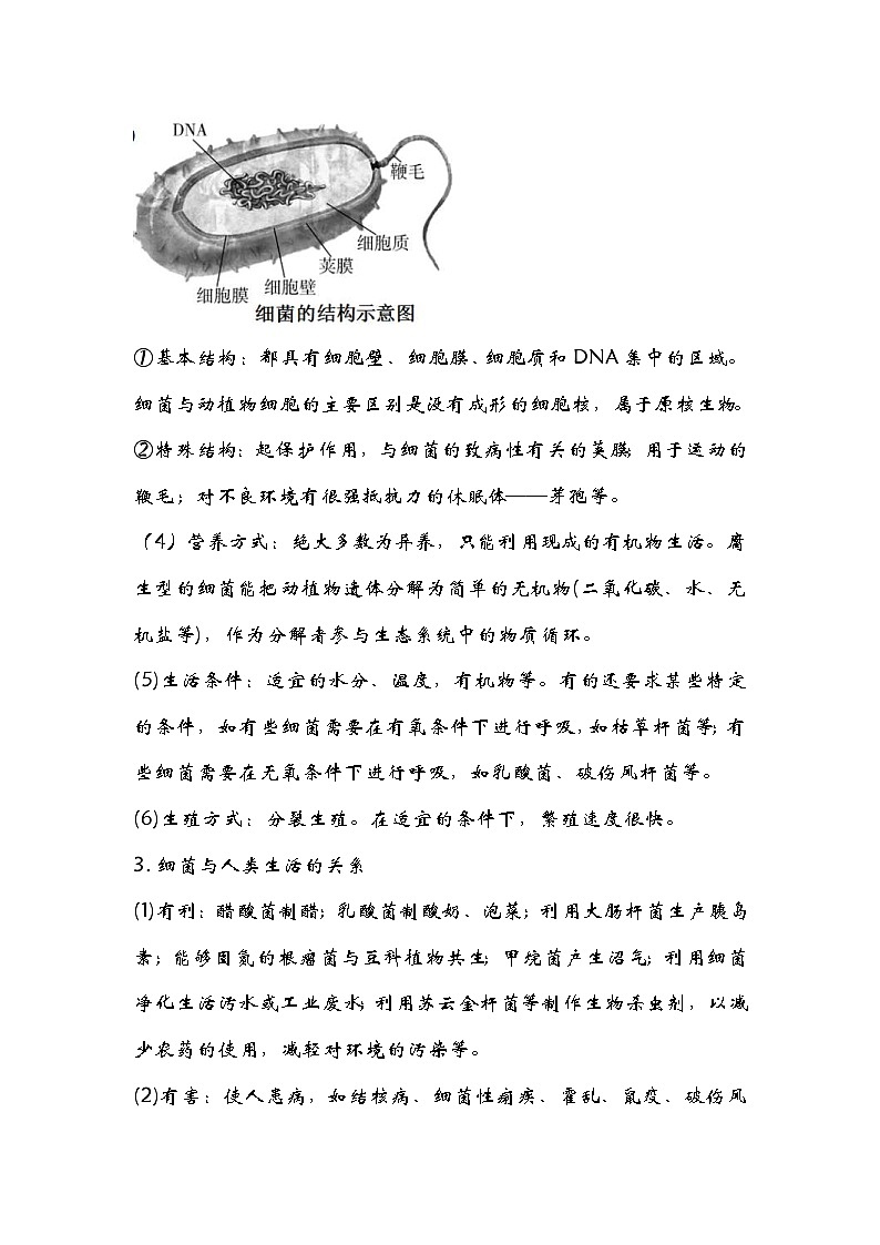 中考生物一轮复习核心考点梳理与必背专题14 细菌、真菌和病毒03