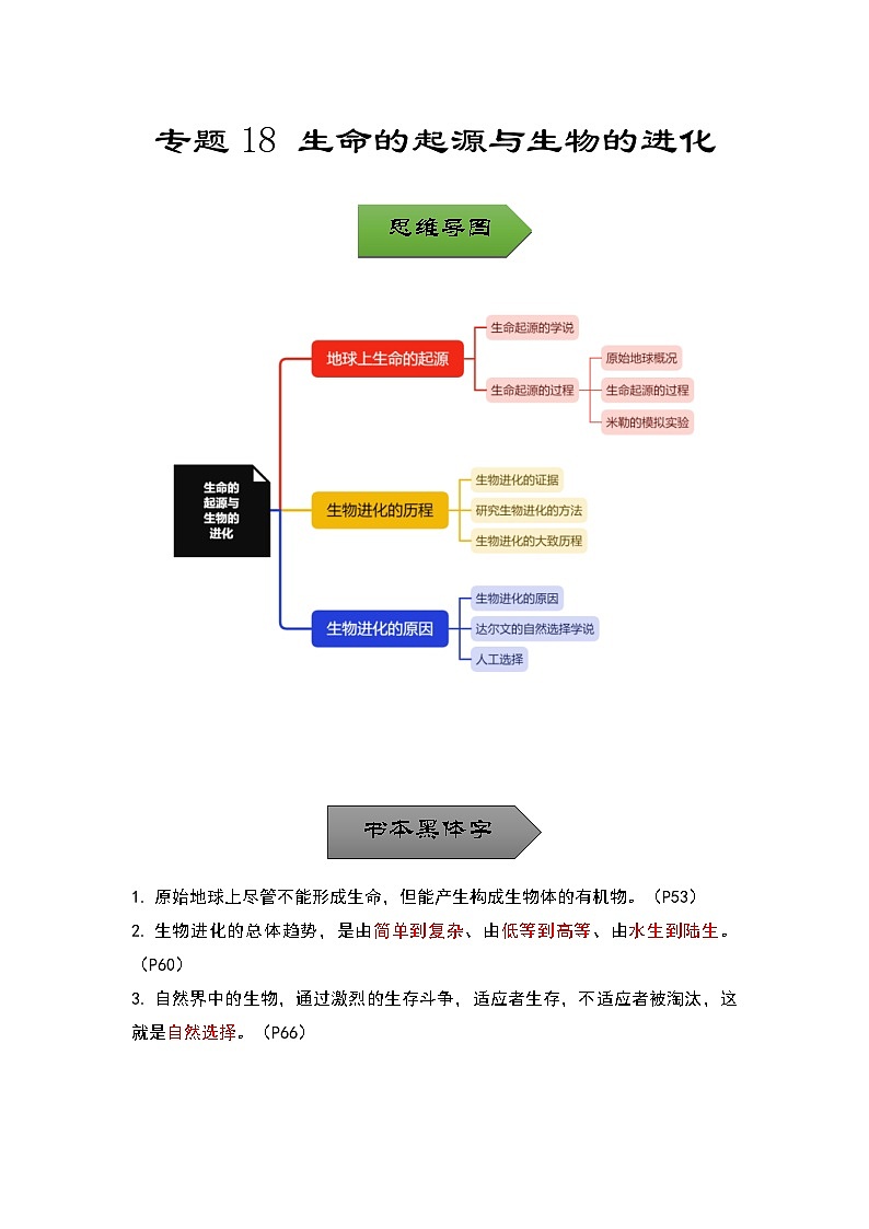 中考生物一轮复习核心考点梳理与必背专题18 生命的起源与生物的进化01