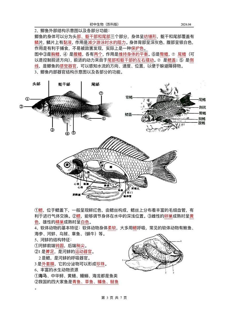 2023-2024苏教版生物第二学期初一期中知识点汇总 1第3页