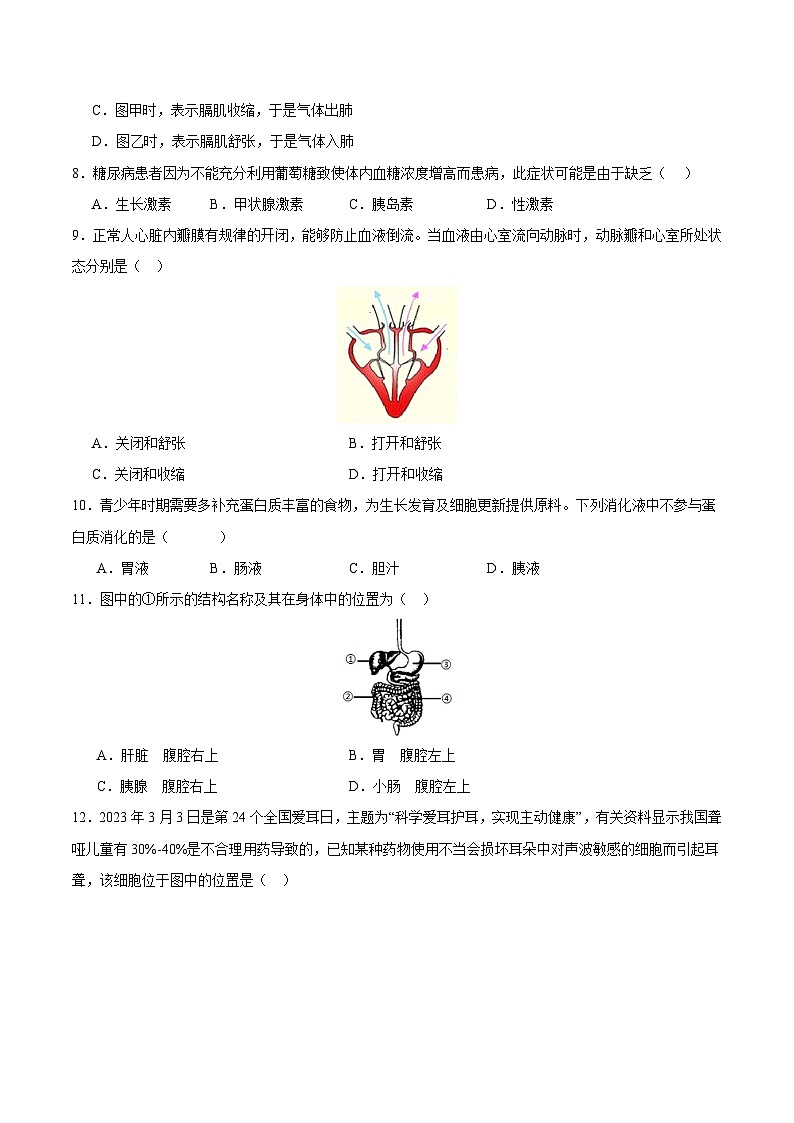 中考生物（北京卷）-2024年中考第一次模拟考试03