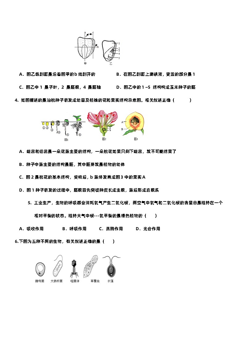 中考生物（吉林长春卷）-2024年中考第一次模拟考试02