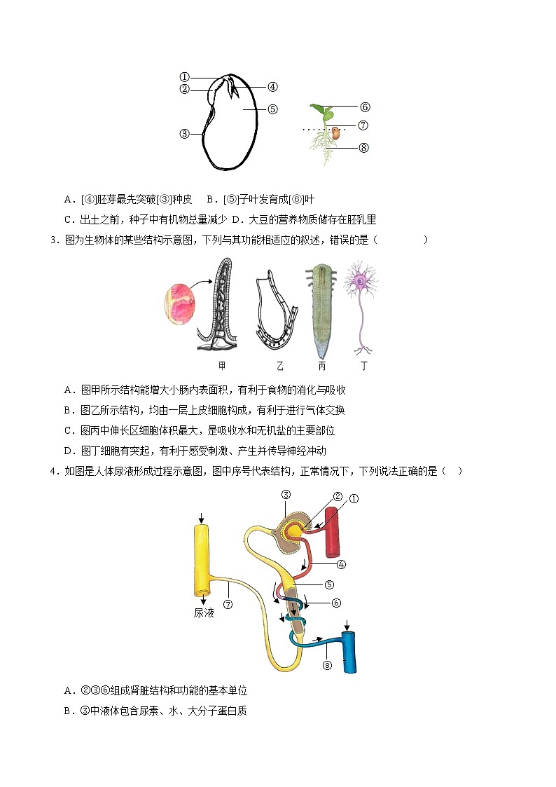 中考生物（安徽卷）-2024年中考第一次模拟考试02