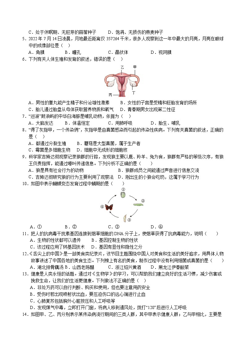 中考生物（广西卷）-2024年中考第一次模拟考试02