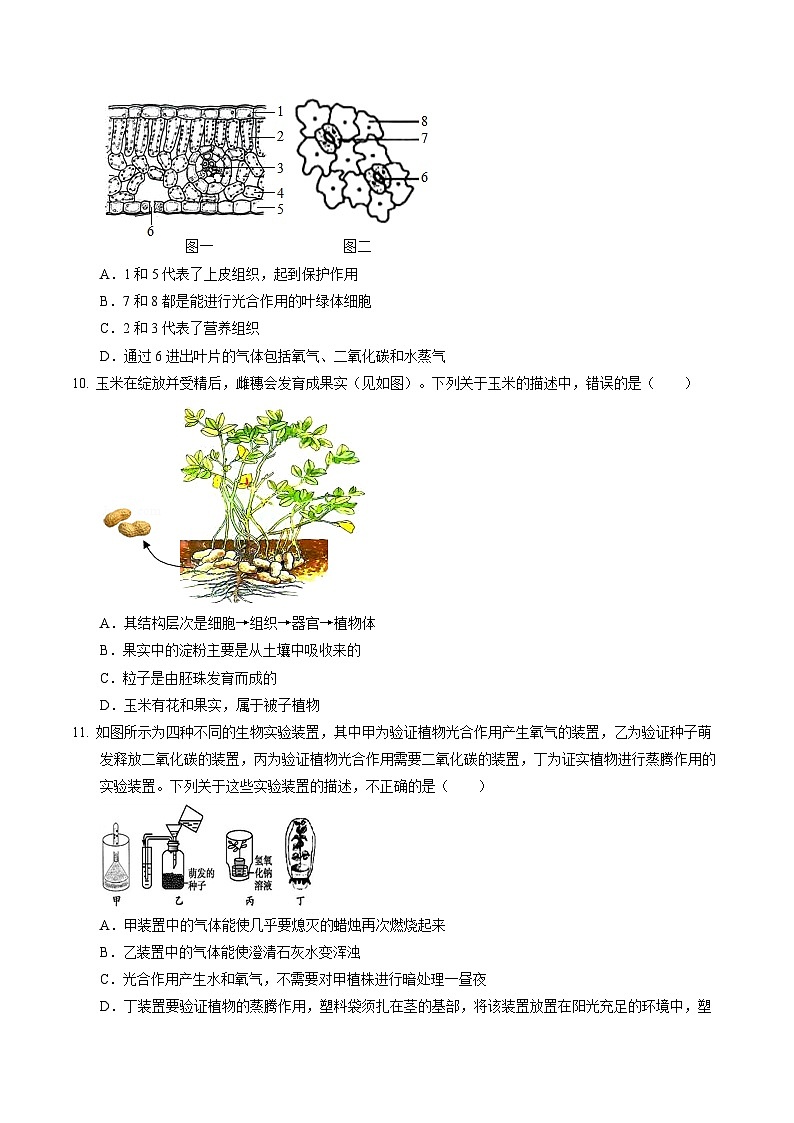 生物（江西卷）（考试版A4）第3页