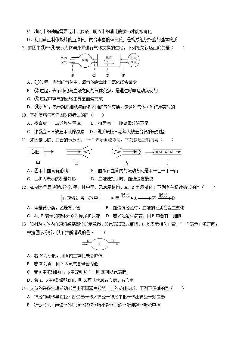中考生物（济南卷）-2024年中考第一次模拟考试03