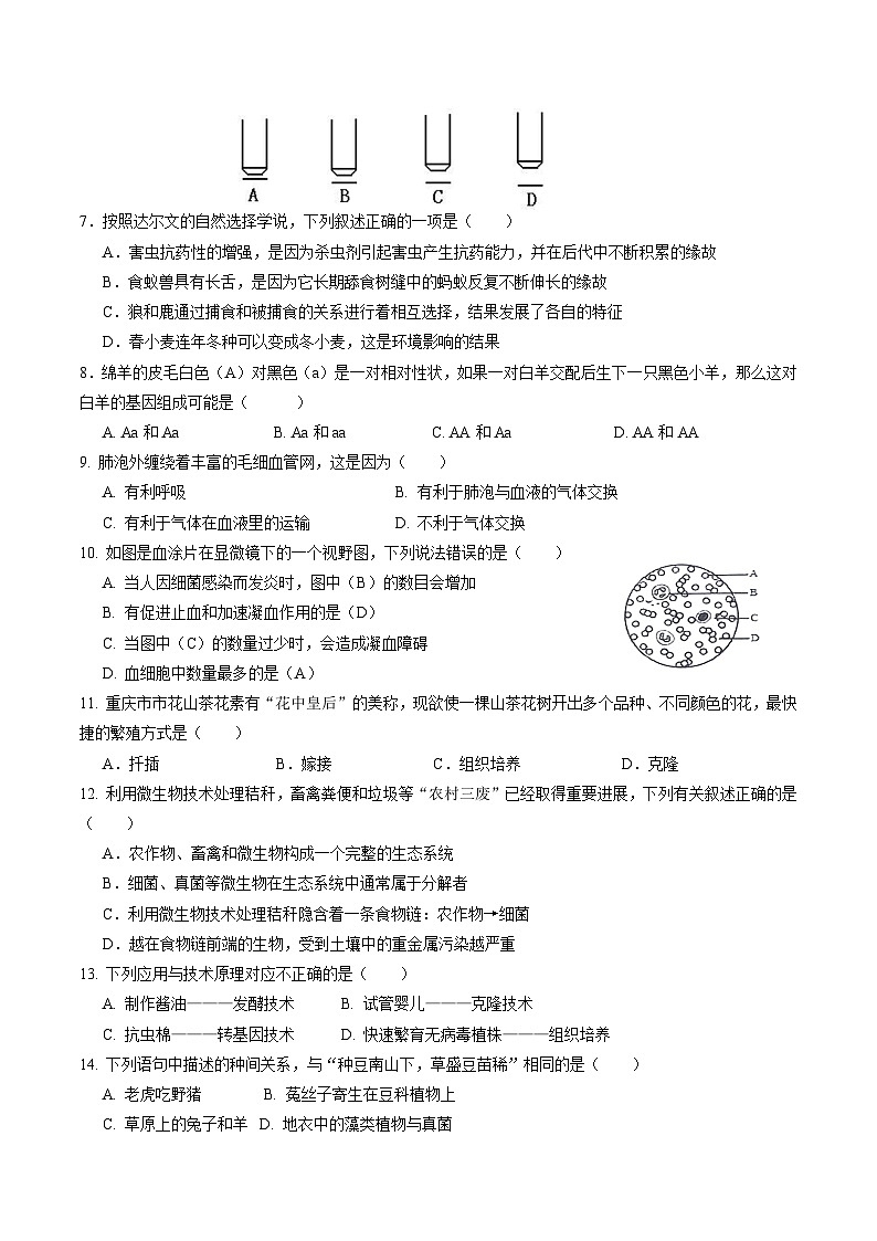 中考生物（重庆卷）-2024年中考第一次模拟考试02