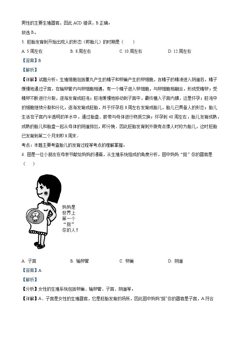 河北省沧州市青县第二中学2023-2024学年七年级下学期3月月考生物试题（原卷版+解析版）03