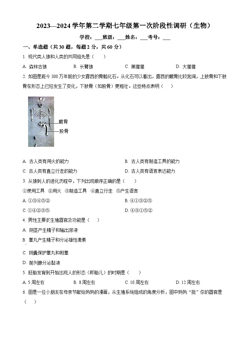 河北省沧州市青县第二中学2023-2024学年七年级下学期3月月考生物试题（原卷版+解析版）01