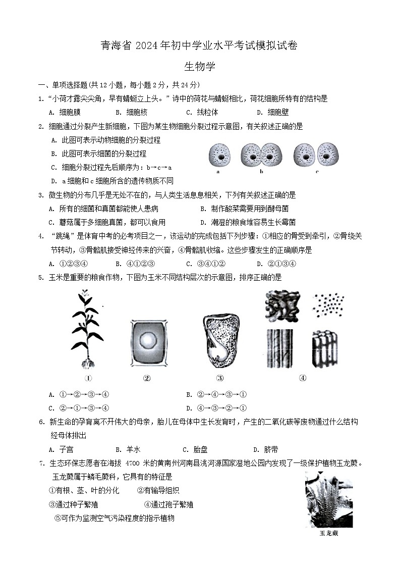 2024年青海省中考初中学业水平考试一模生物试题01