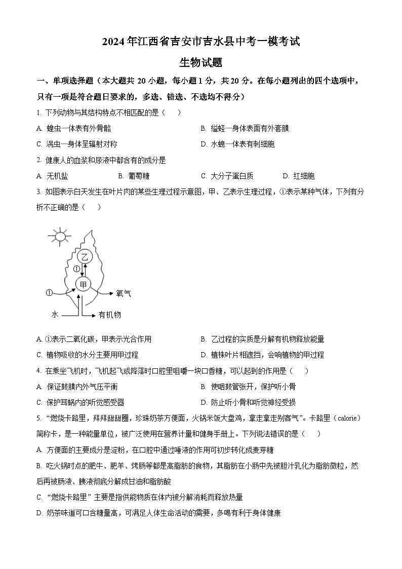 2024年江西省吉安市吉水县中考一模考试生物试题（原卷版+解析版）01