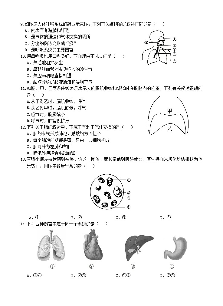 安徽省安庆市第十四中2022--2023学年七年级下学期期中生物试题02
