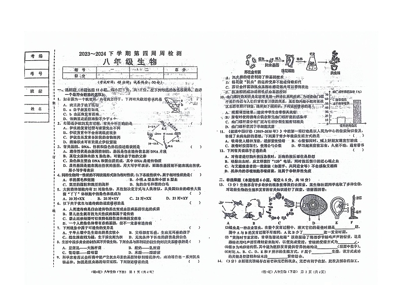辽宁省海城市第六中学2023--2024学年八年级下学期第一次月考生物试卷（图片版含答案）第1页