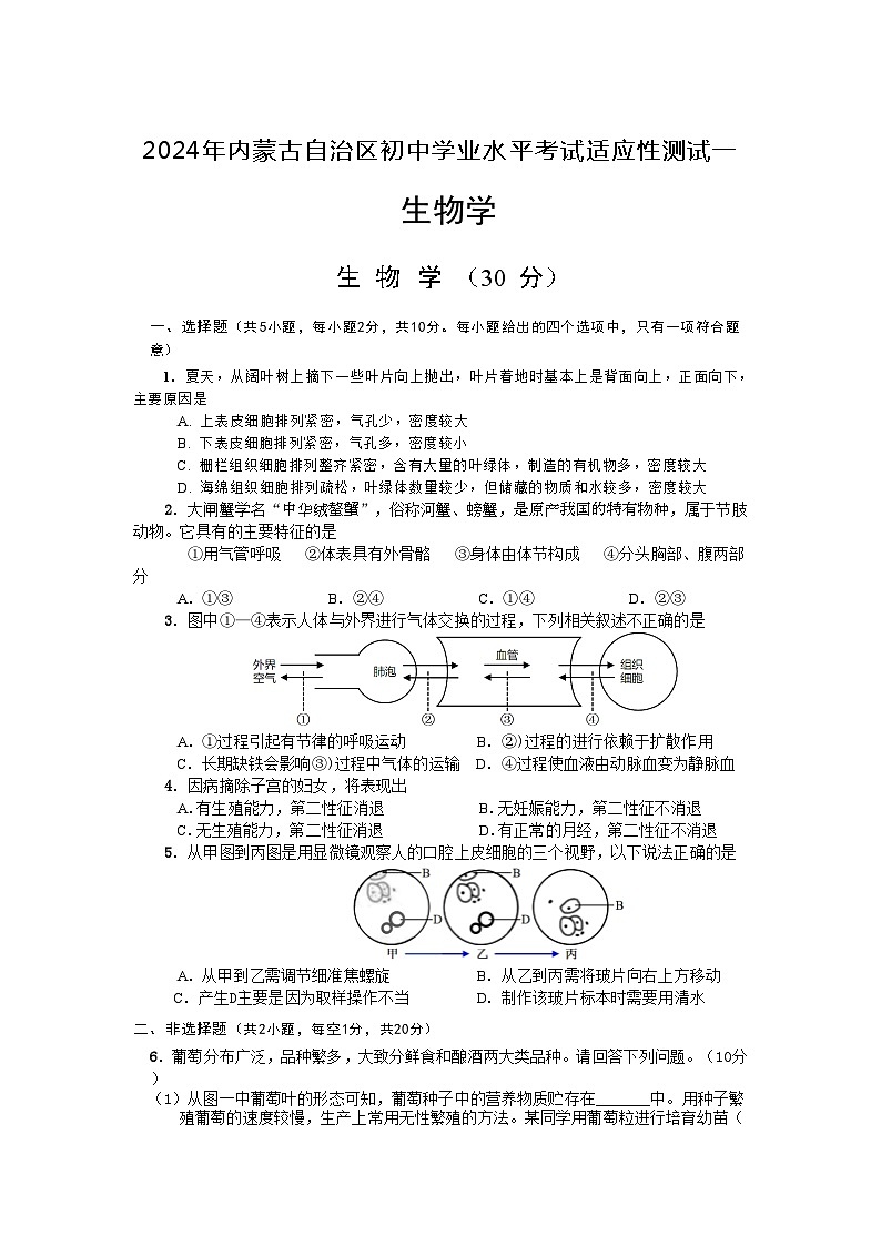 2024年内蒙古初中学业水平考试适应性测试生物试题（含答案）01