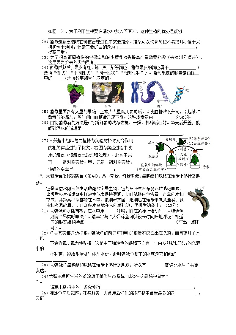 2024年内蒙古初中学业水平考试适应性测试生物试题（含答案）02