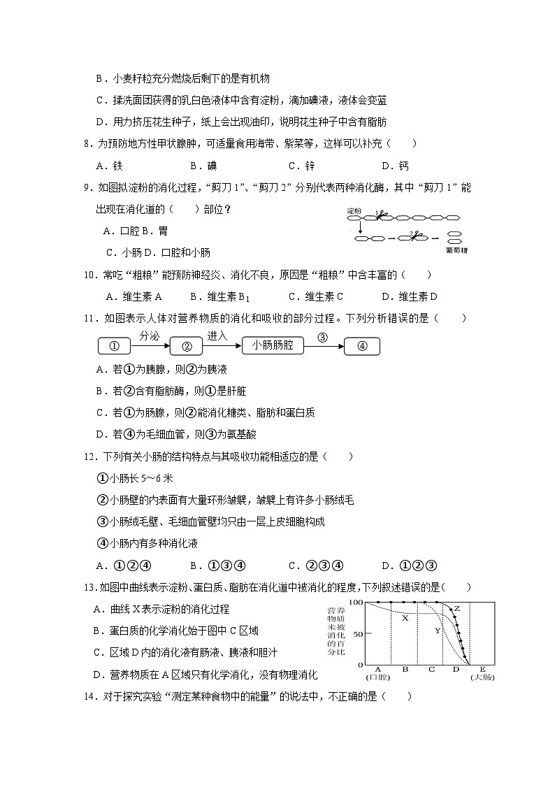 四川省凉山州宁南县初级中学校2023-2024学年七年级下学期第一次月考生物试题02