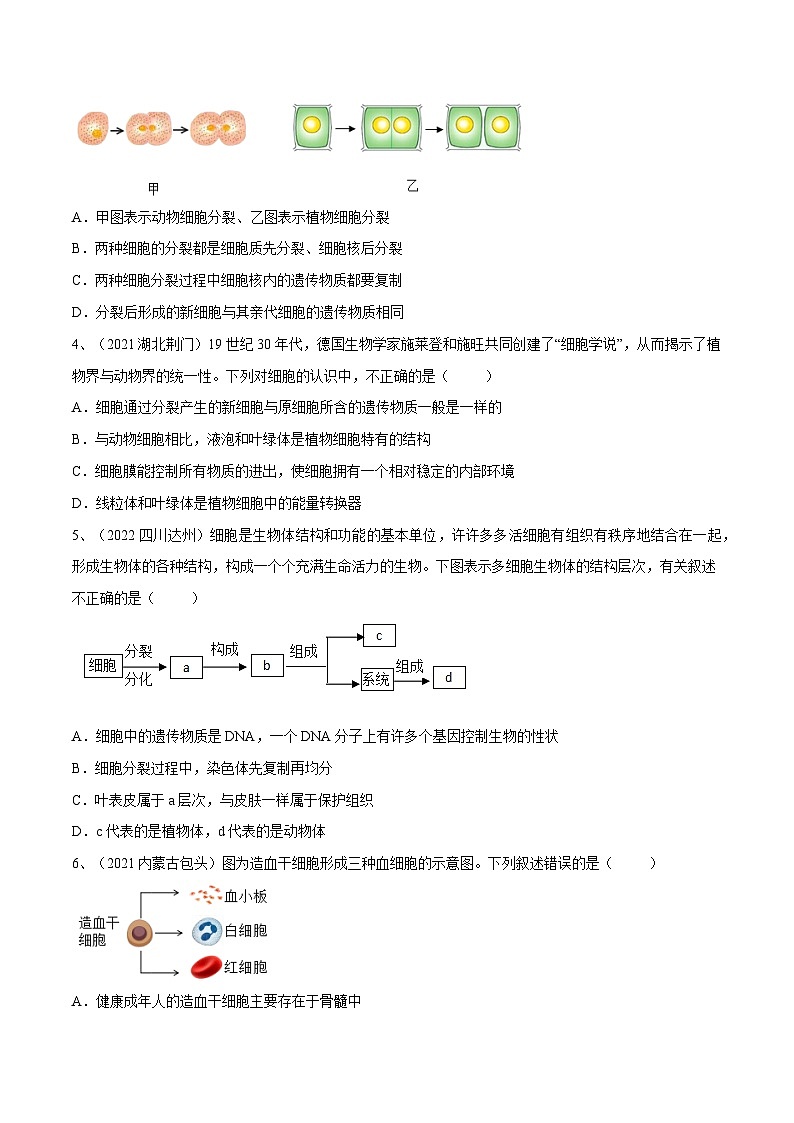 最新中考生物一轮复习课件+讲练测  专题03 细胞怎样构成生物体（专题精练）02