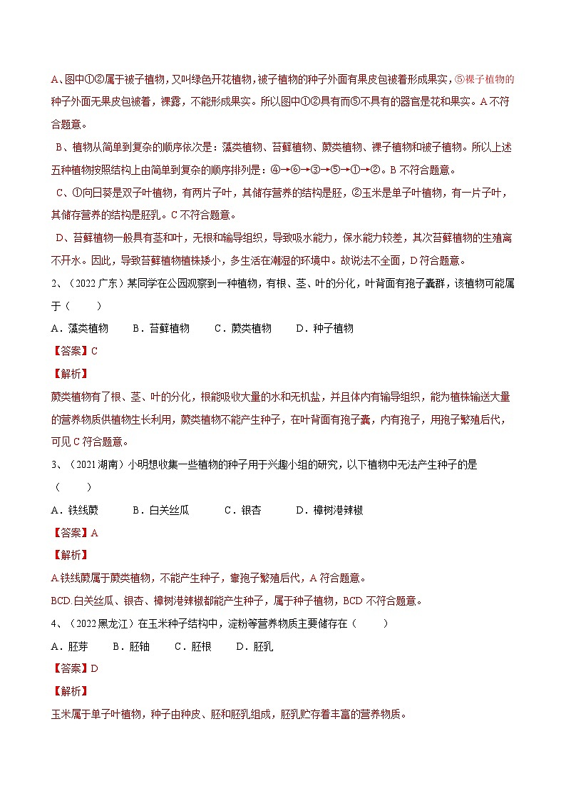 最新中考生物一轮复习课件+讲练测  专题04 生物圈中有哪些绿色植物（专题精练）02