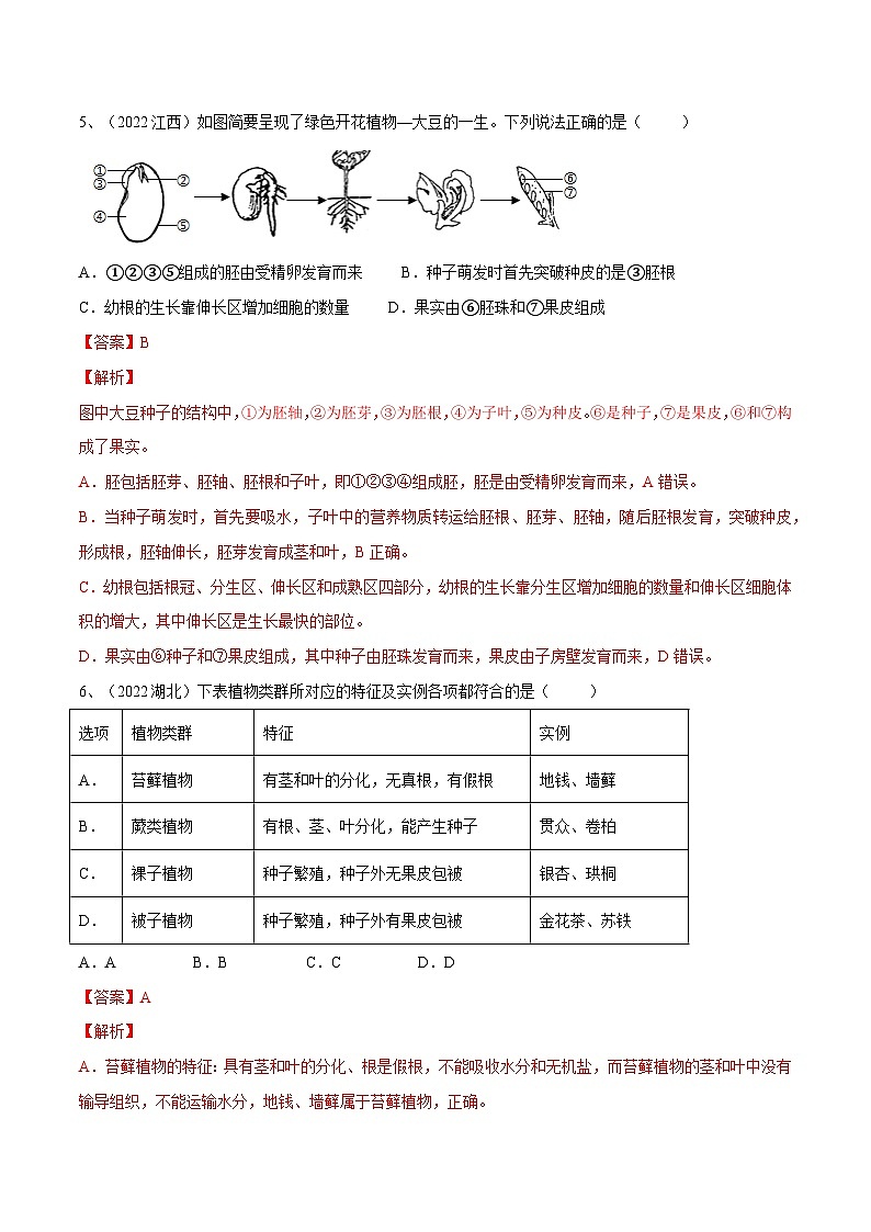 最新中考生物一轮复习课件+讲练测  专题04 生物圈中有哪些绿色植物（专题精练）03