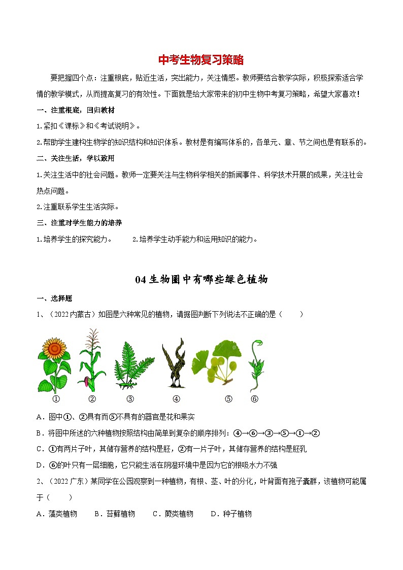 最新中考生物一轮复习课件+讲练测  专题04 生物圈中有哪些绿色植物（专题精练）01