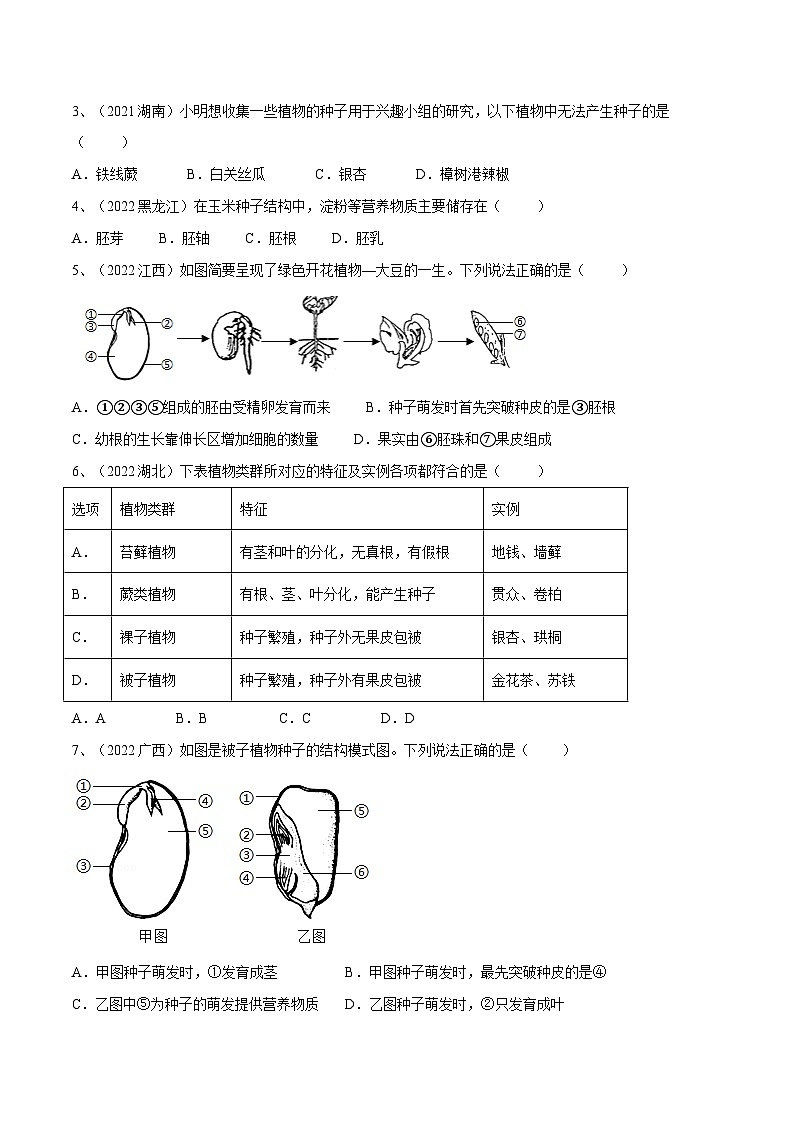 最新中考生物一轮复习课件+讲练测  专题04 生物圈中有哪些绿色植物（专题精练）02