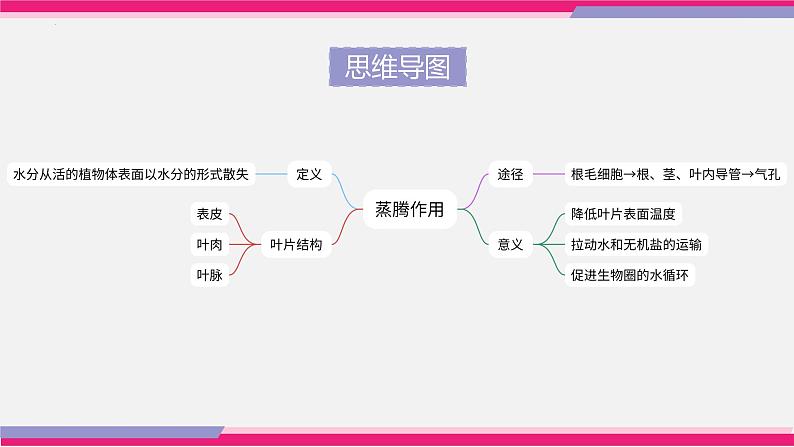 专题06 绿色植物与生物圈的水循环（课件精讲）第7页