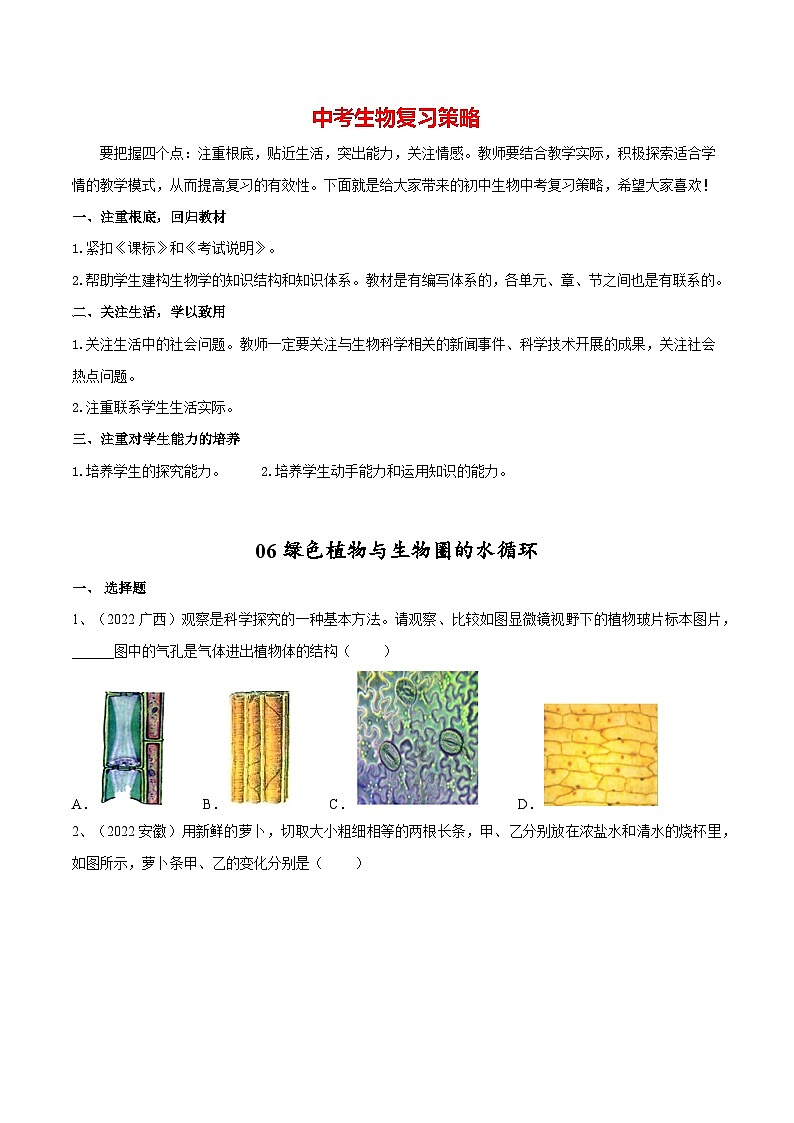 最新中考生物一轮复习课件+讲练测  专题06 绿色植物与生物圈的水循环（专题精练）01