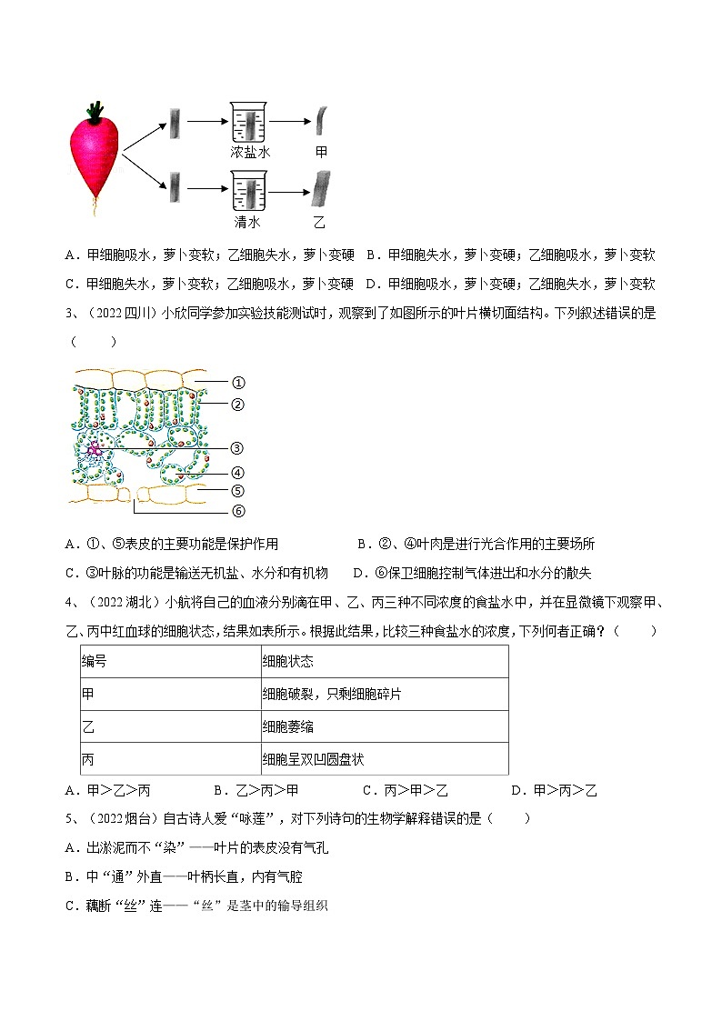 最新中考生物一轮复习课件+讲练测  专题06 绿色植物与生物圈的水循环（专题精练）02