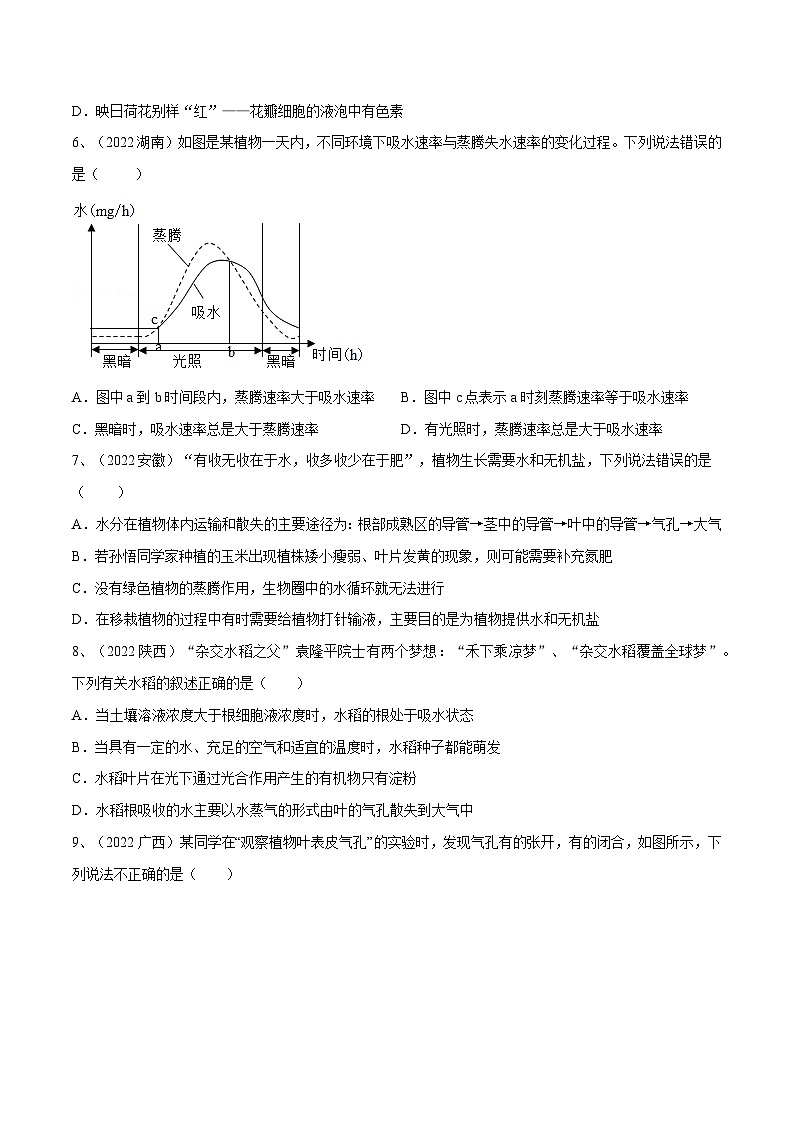 最新中考生物一轮复习课件+讲练测  专题06 绿色植物与生物圈的水循环（专题精练）03
