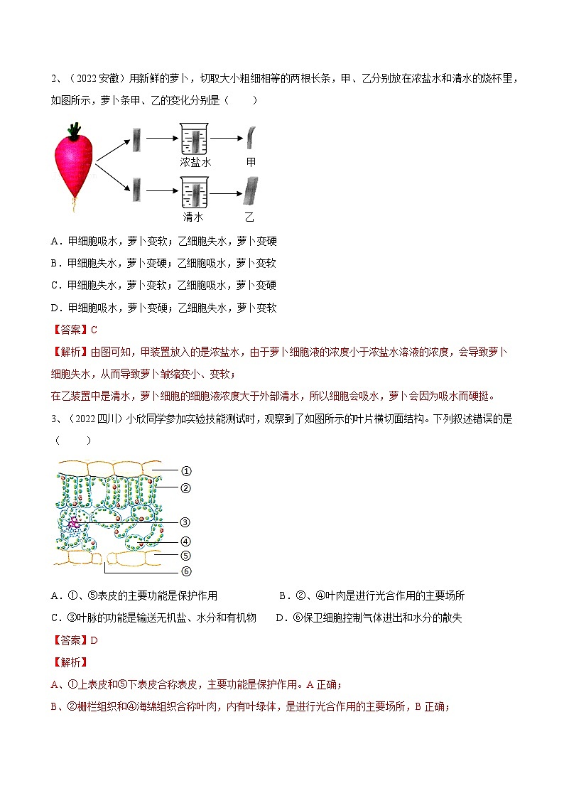最新中考生物一轮复习课件+讲练测  专题06 绿色植物与生物圈的水循环（专题精练）02
