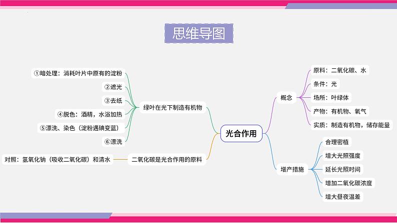 专题07 绿色植物的光合作用（课件精讲）第7页