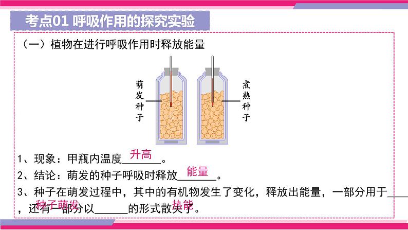 最新中考生物一轮复习课件+讲练测  专题08 绿色植物的呼吸作用（专题精练）08