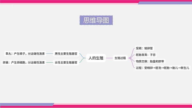 最新中考生物一轮复习课件+讲练测  专题09 人的由来（专题精练）07