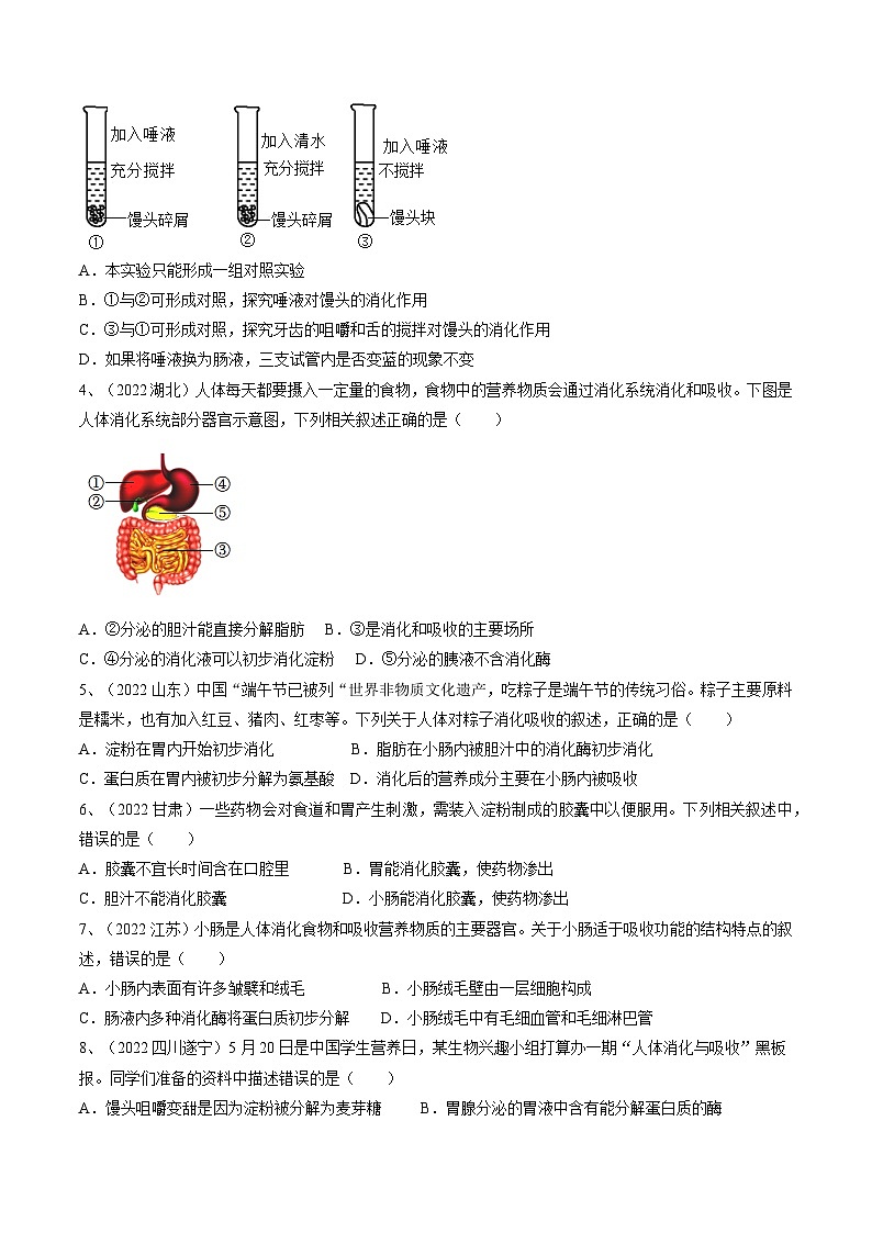 专题10 人体的营养（原卷版）第2页