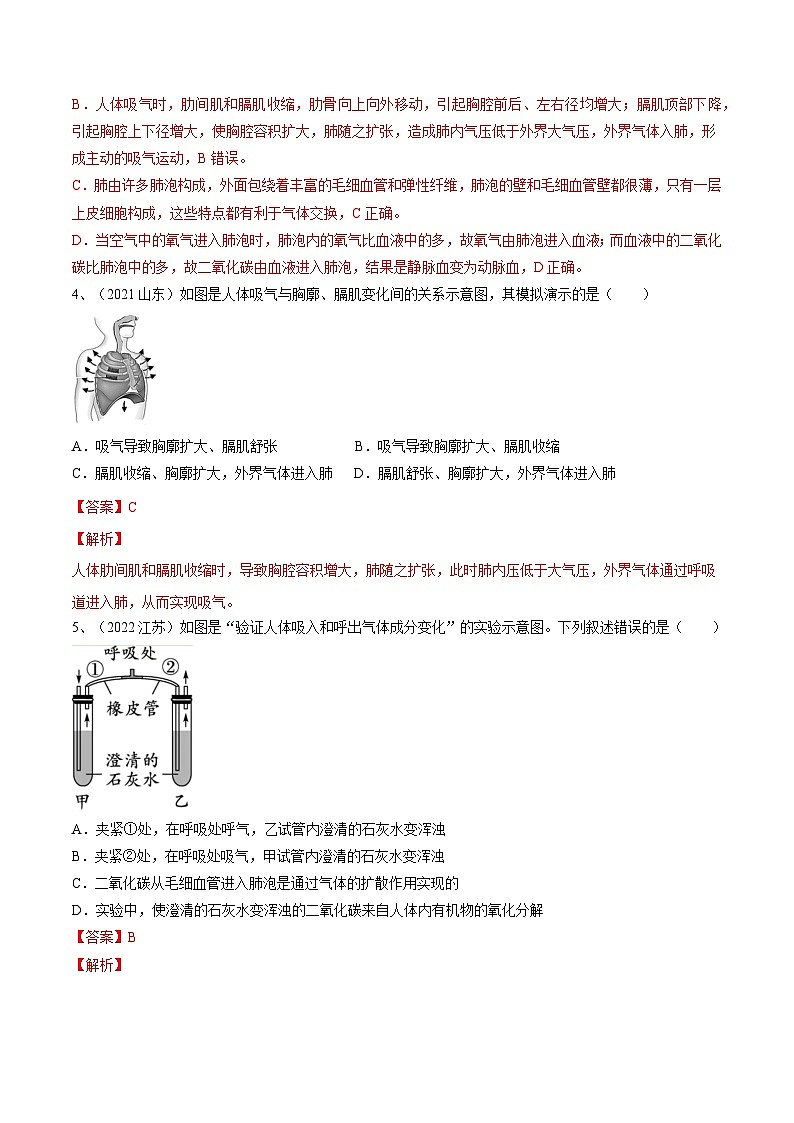 最新中考生物一轮复习课件+讲练测  专题11 人体的呼吸（专题精练）03