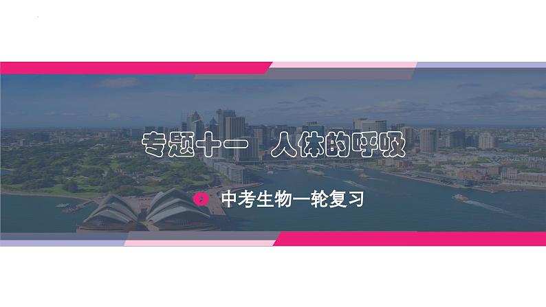 最新中考生物一轮复习课件+讲练测  专题11 人体的呼吸（专题精练）03