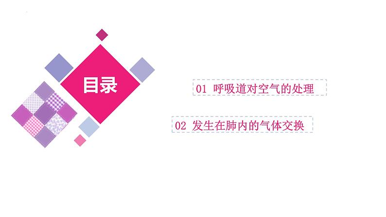 最新中考生物一轮复习课件+讲练测  专题11 人体的呼吸（专题精练）05