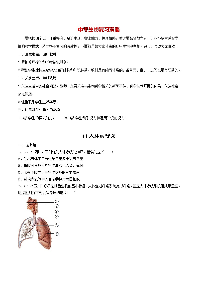 最新中考生物一轮复习课件+讲练测  专题11 人体的呼吸（专题精练）01