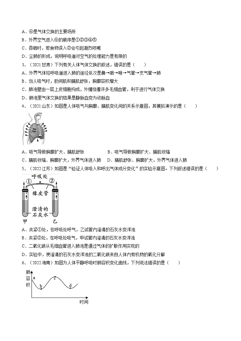 最新中考生物一轮复习课件+讲练测  专题11 人体的呼吸（专题精练）02