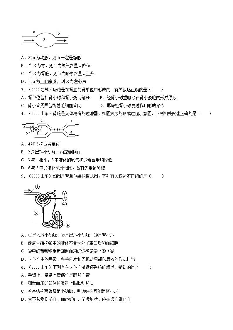 最新中考生物一轮复习课件+讲练测  专题13 人体内废物的排出（专题精练）02