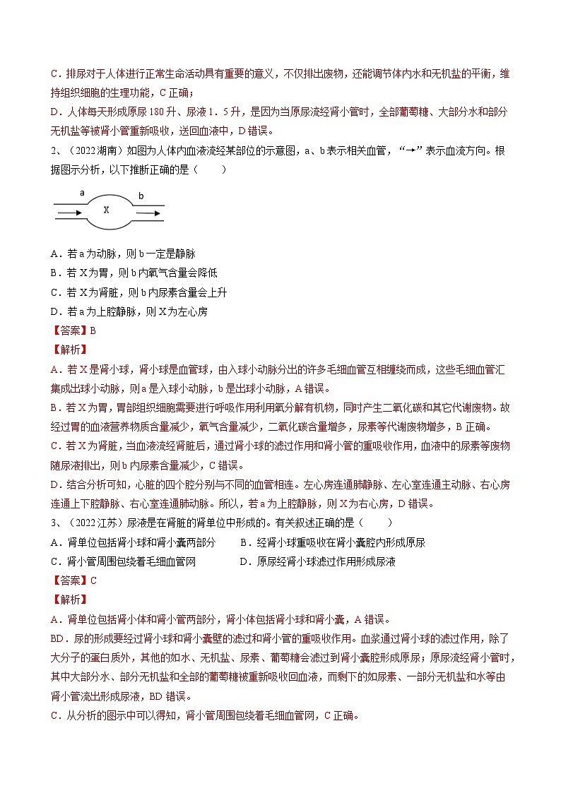 最新中考生物一轮复习课件+讲练测  专题13 人体内废物的排出（专题精练）02