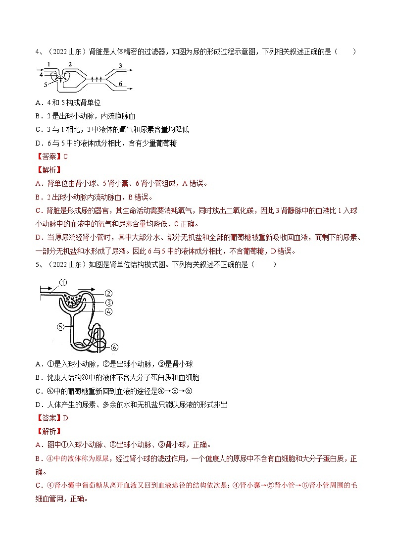 最新中考生物一轮复习课件+讲练测  专题13 人体内废物的排出（专题精练）03