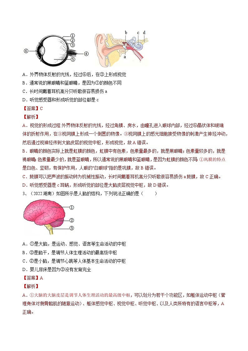 最新中考生物一轮复习课件+讲练测  专题14 人体生命活动的调节（专题精练）02