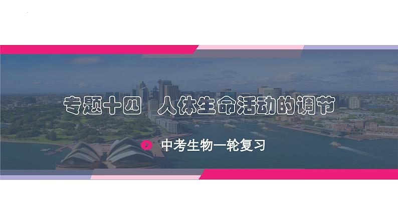 最新中考生物一轮复习课件+讲练测  专题14 人体生命活动的调节（专题精练）03