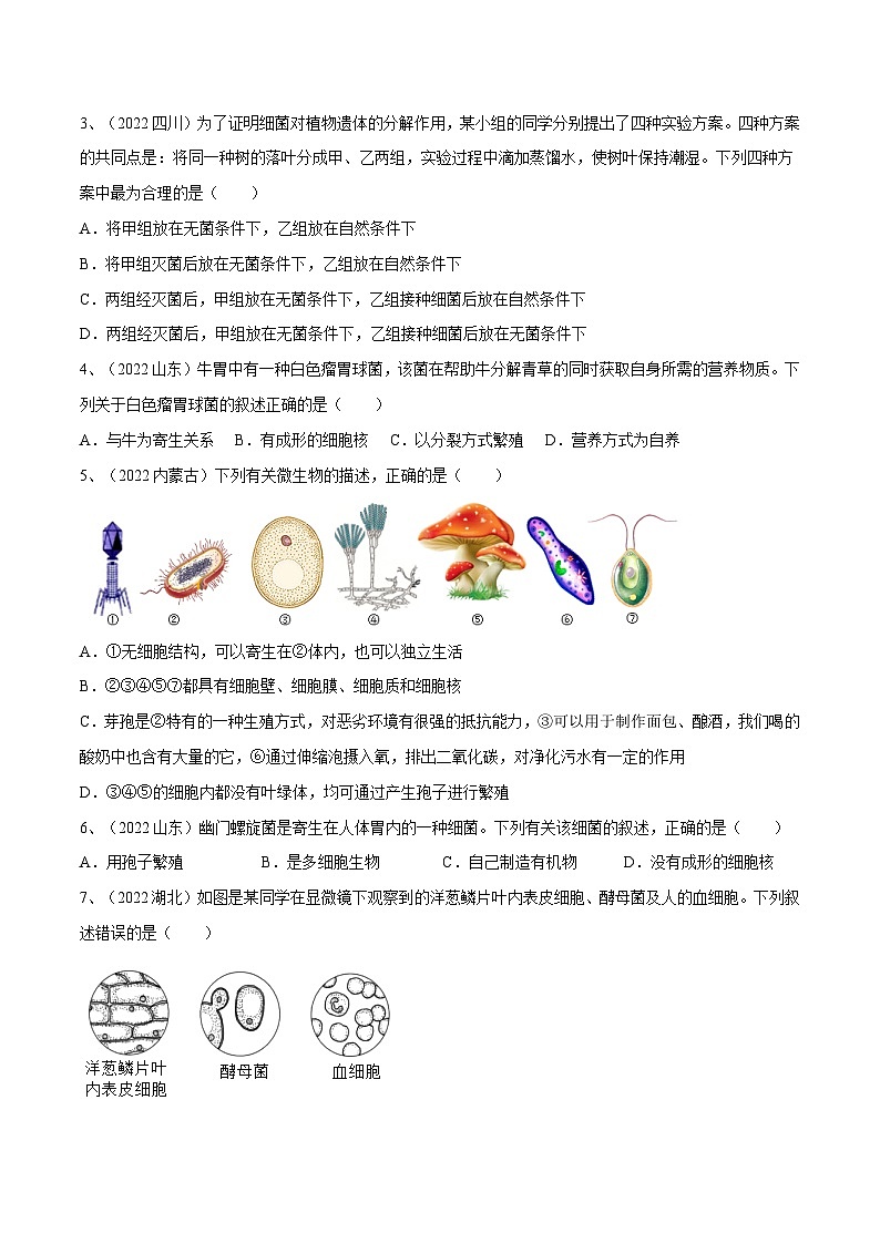 最新中考生物一轮复习课件+讲练测  专题17 细菌、真菌和病毒（专题精练）02