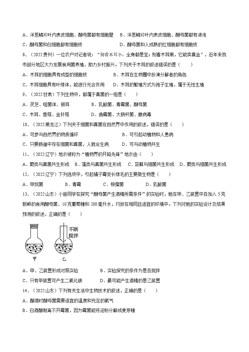 最新中考生物一轮复习课件+讲练测  专题17 细菌、真菌和病毒（专题精练）03