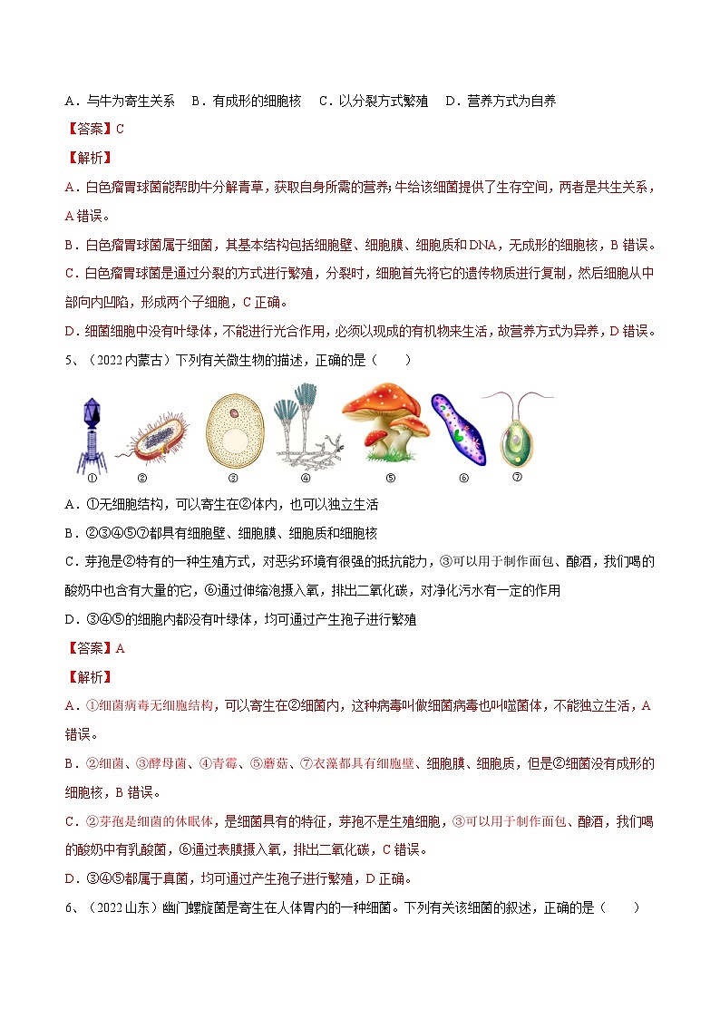 最新中考生物一轮复习课件+讲练测  专题17 细菌、真菌和病毒（专题精练）03
