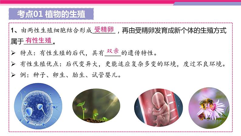 专题19 生物的生殖和发育（课件精讲）第8页