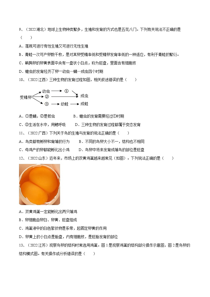 最新中考生物一轮复习课件+讲练测  专题19 生物的生殖和发育（专题精练）03