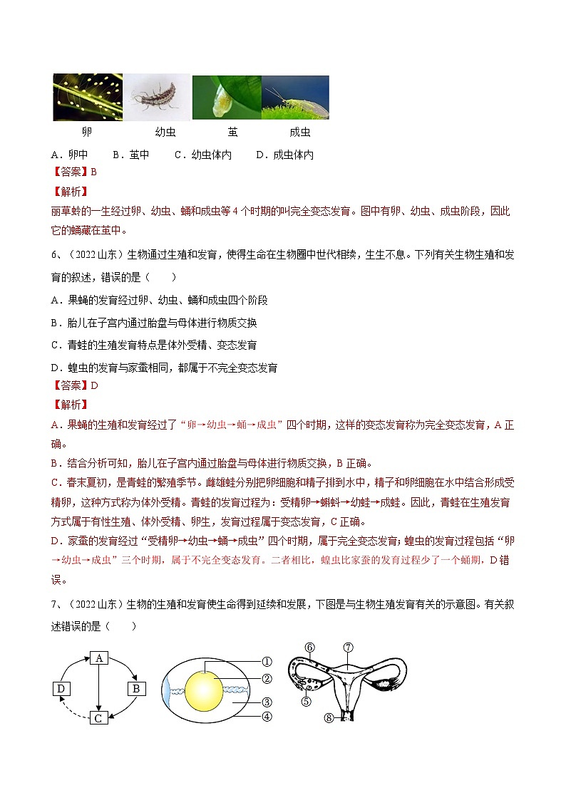 最新中考生物一轮复习课件+讲练测  专题19 生物的生殖和发育（专题精练）03