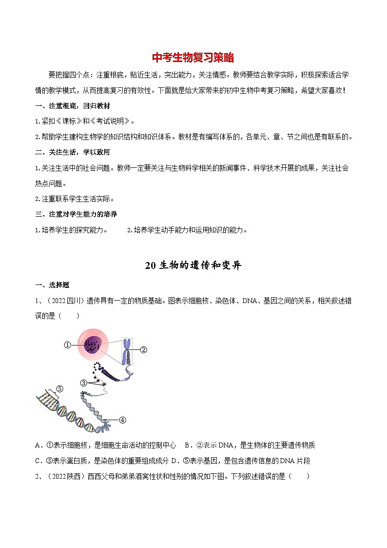 最新中考生物一轮复习课件+讲练测  专题20 生物的遗传和变异（专题精练）01